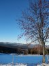 vue sur la ferme
